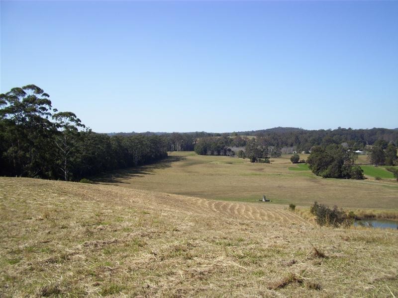 Bucca NSW 2450
