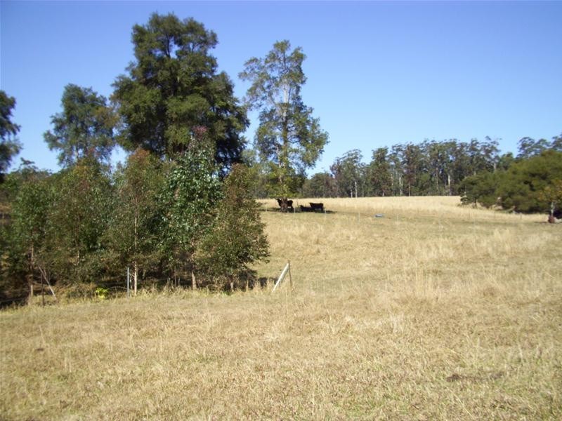 Bucca NSW 2450