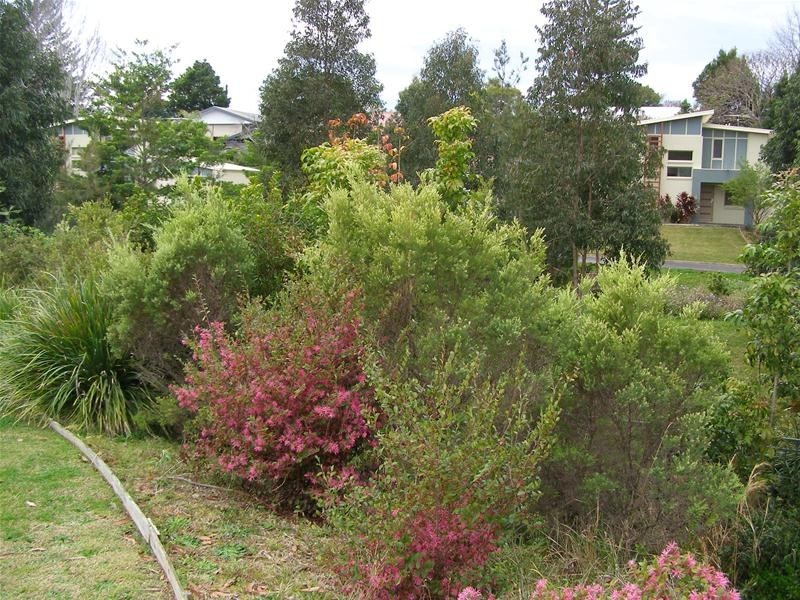 9 Ellis Crescent, North Boambee Valley NSW 2450