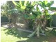52a Azalea Avenue, Coffs Harbour NSW 2450