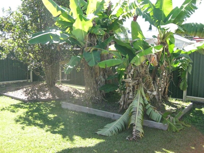 52a Azalea Avenue, Coffs Harbour NSW 2450