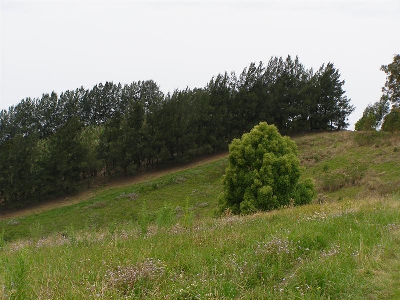 Stadium Drive, Coffs Harbour NSW 2450