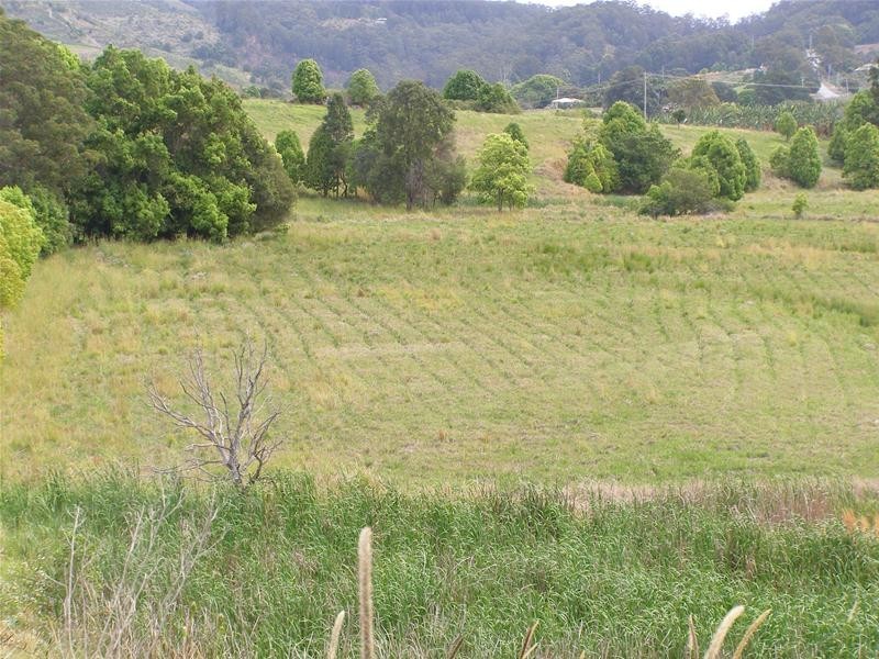 Shephards Lane, Coffs Harbour NSW 2450