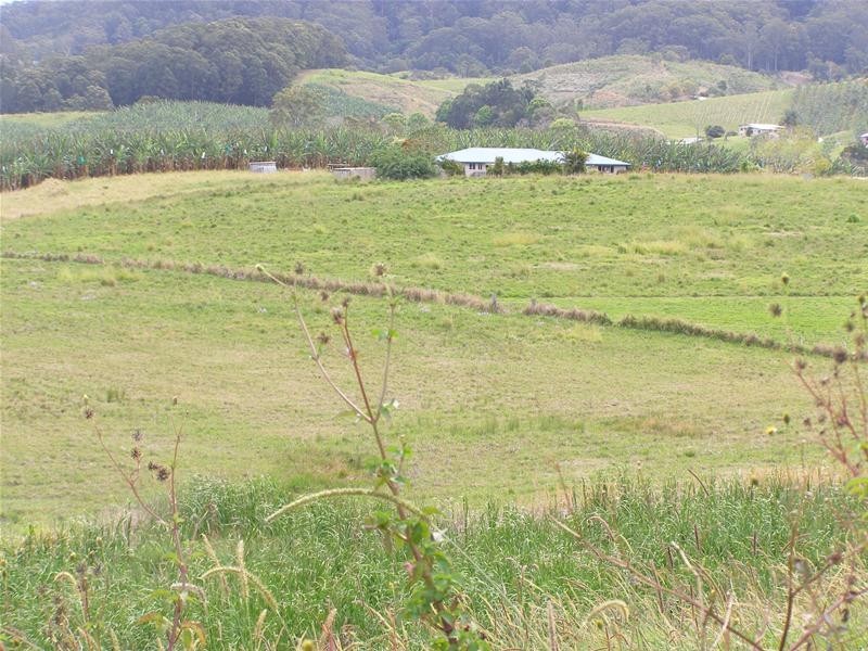 Shephards Lane, Coffs Harbour NSW 2450