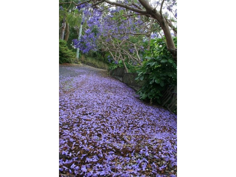 94 Gately Road, Coffs Harbour NSW 2450