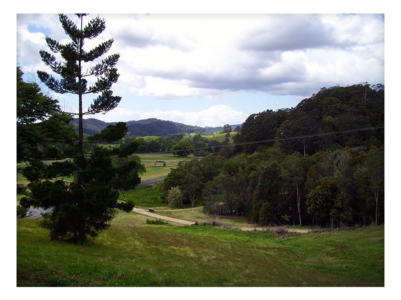 267 Dairyville Road, Upper Orara NSW 2450