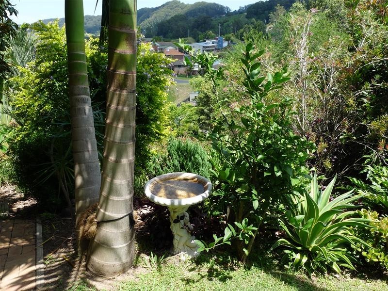57 Vera Drive, Coffs Harbour NSW 2450