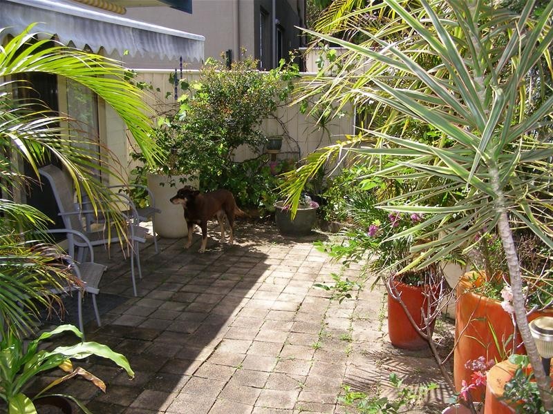 2 Redwood Street, Coffs Harbour NSW 2450