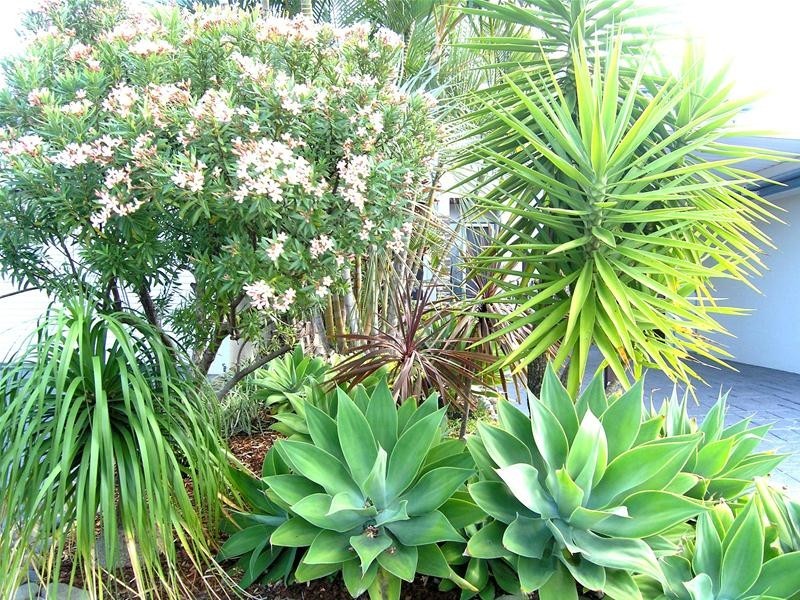 1 Shearwater Place, Korora, Coffs Harbour NSW 2450