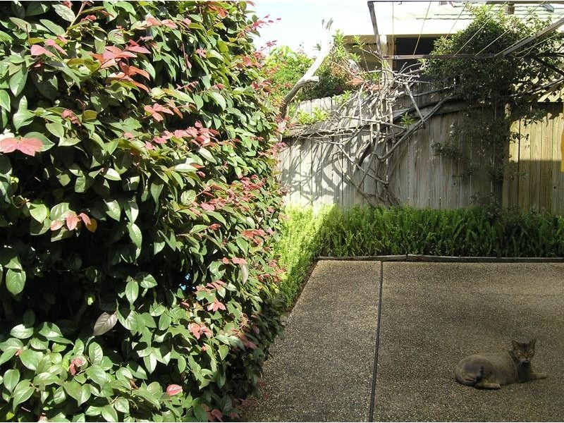 1 James Ide Place, Coffs Harbour NSW 2450