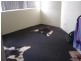 13/7 Dalley Street, Coffs Harbour NSW 2450