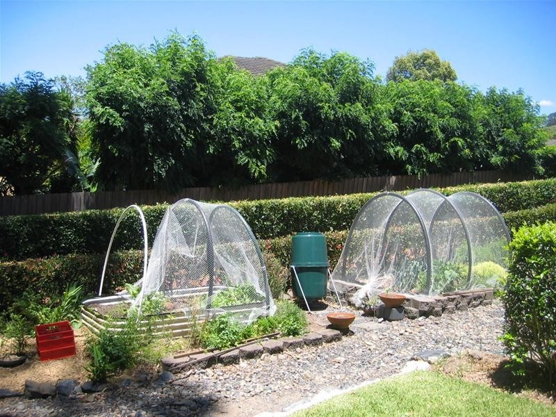 8 Meadowlands Crecent, Coffs Harbour NSW 2450