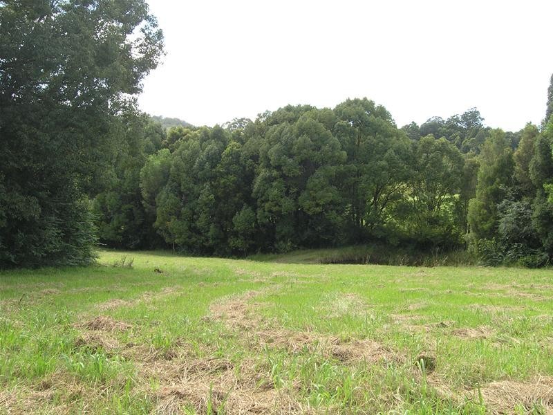 1040 East Bank Rd, Nana Glen, Coffs Harbour NSW 2450