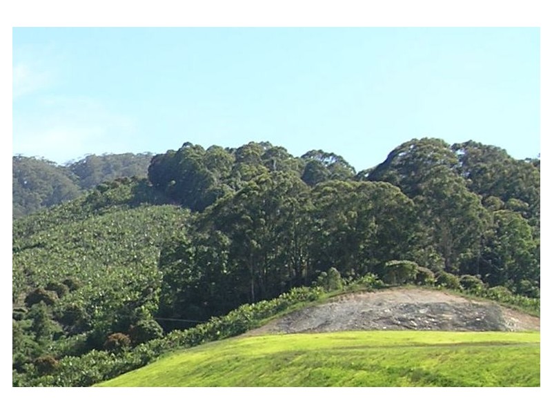 Lot 14 Bella Vista Estate, Coffs Harbour NSW 2450