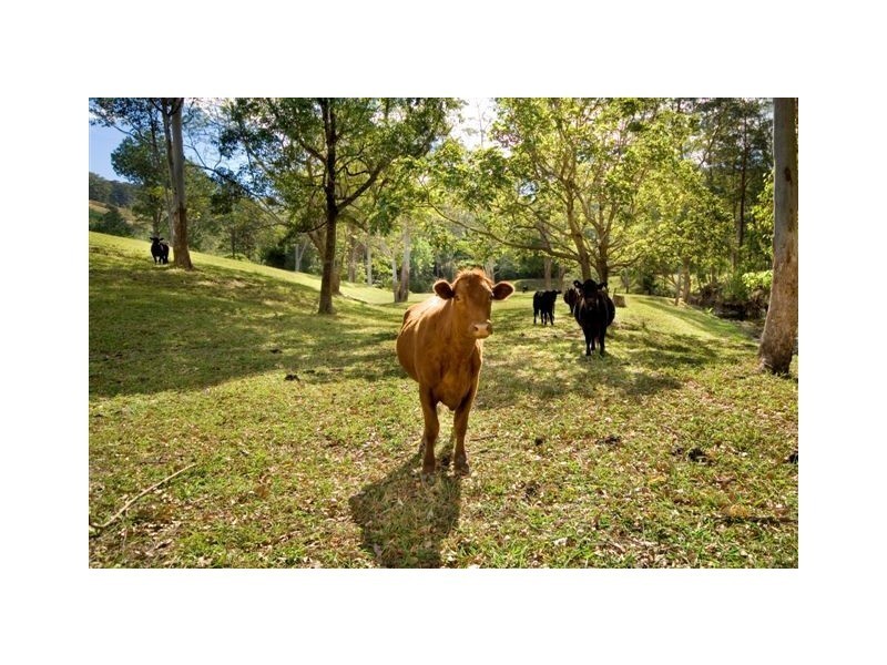 269 South Boambee Road, Boambee NSW 2450