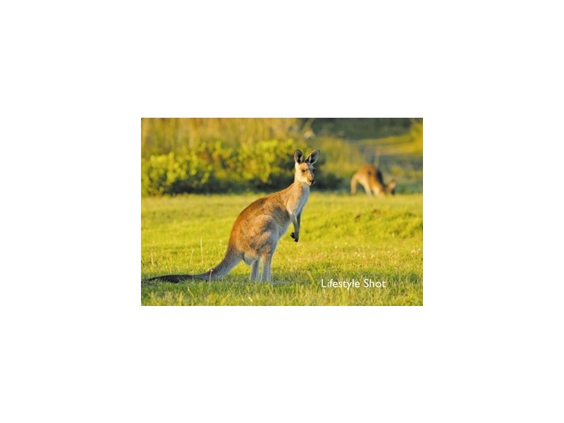 Emerald Beach Estate, Bluff Road, Emerald Beach NSW 2456