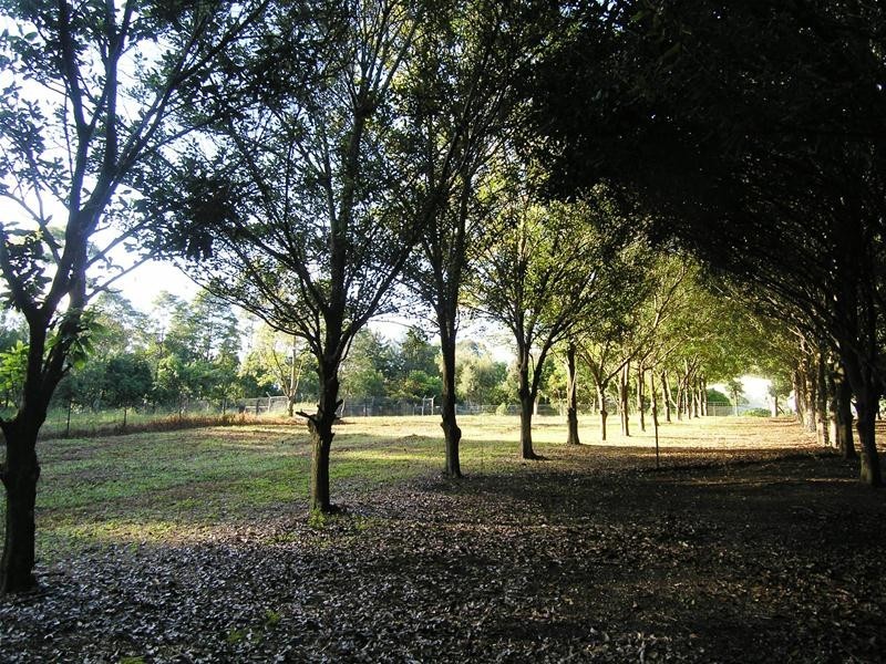 64 Butlers Road, Bonville NSW 2441