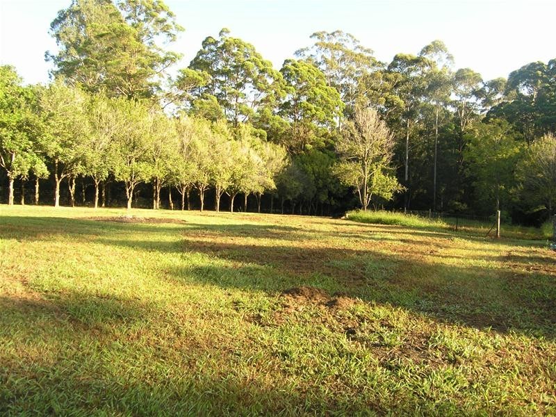 64 Butlers Road, Bonville NSW 2441