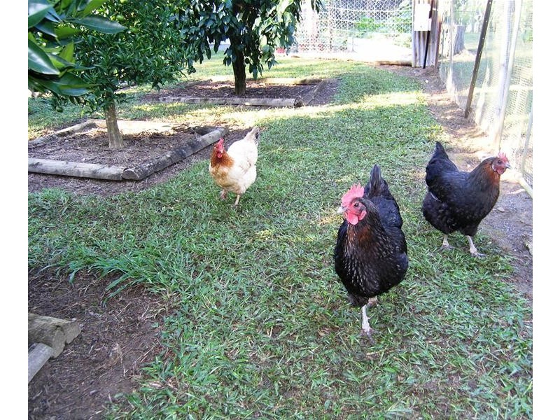 64 Butlers Road, Bonville NSW 2441