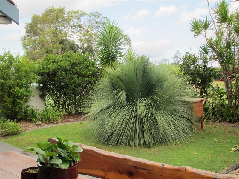 4 Shearwater Place, Korora, Coffs Harbour NSW 2450