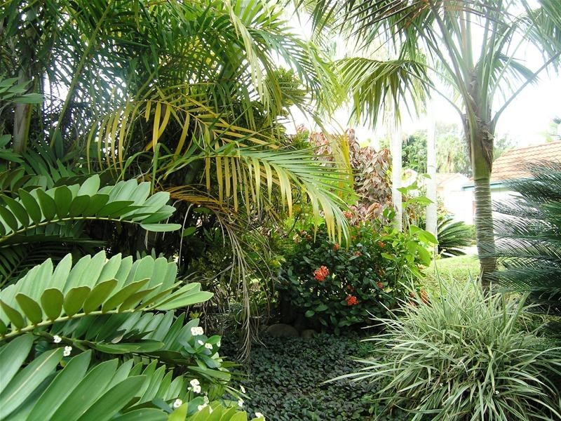 4 Shearwater Place, Korora, Coffs Harbour NSW 2450