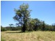 1024 East Bank Road, Nana Glen NSW 2450