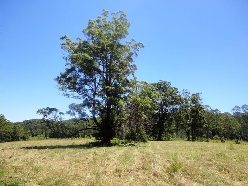 1024 East Bank Road, Nana Glen NSW 2450