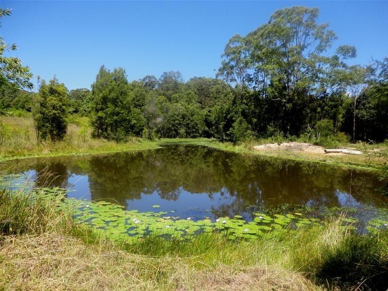 1024 East Bank Road, Nana Glen NSW 2450