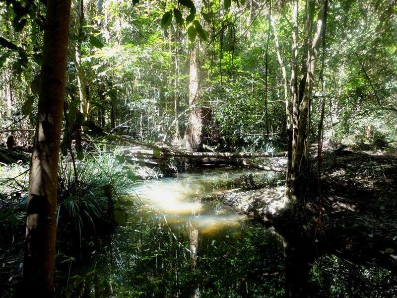 1024 East Bank Road, Nana Glen NSW 2450