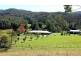 501B Dairyville Road, Upper Orara NSW 2450