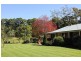 501B Dairyville Road, Upper Orara NSW 2450