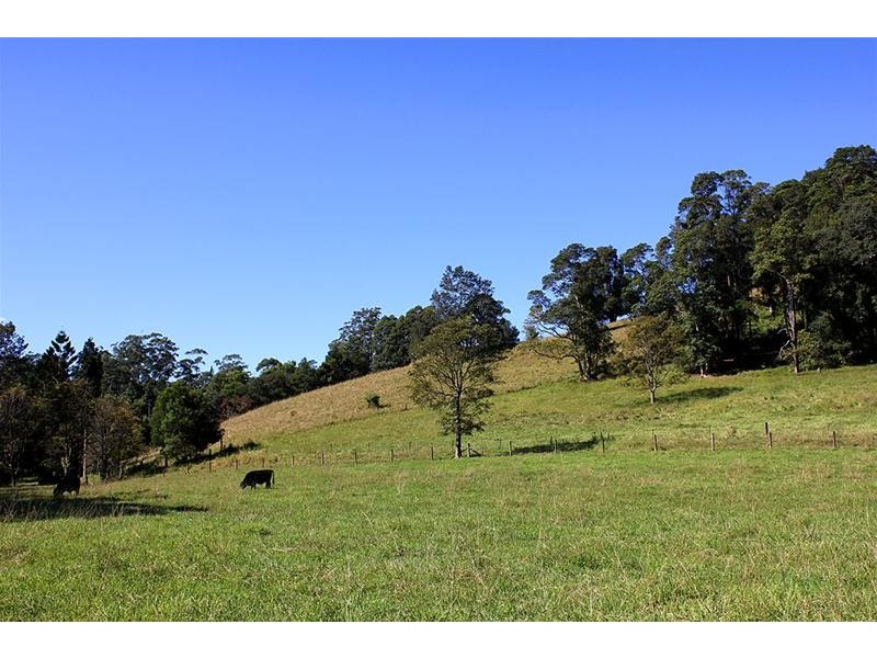 501B Dairyville Road, Upper Orara NSW 2450