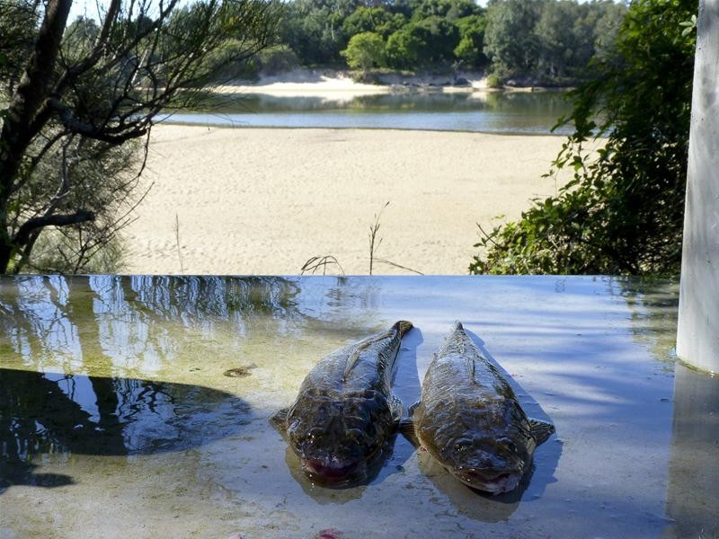 118 Ocean View Drive, Valla Beach NSW 2448