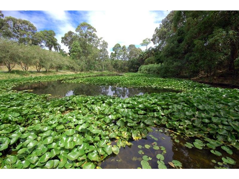 1 Parkes Drive, Korora, Coffs Harbour NSW 2450