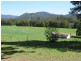248 Upper Orara Road, Karangi, Coffs Harbour NSW 2450
