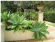 1 Five Islands Drive, Coffs Harbour NSW 2450