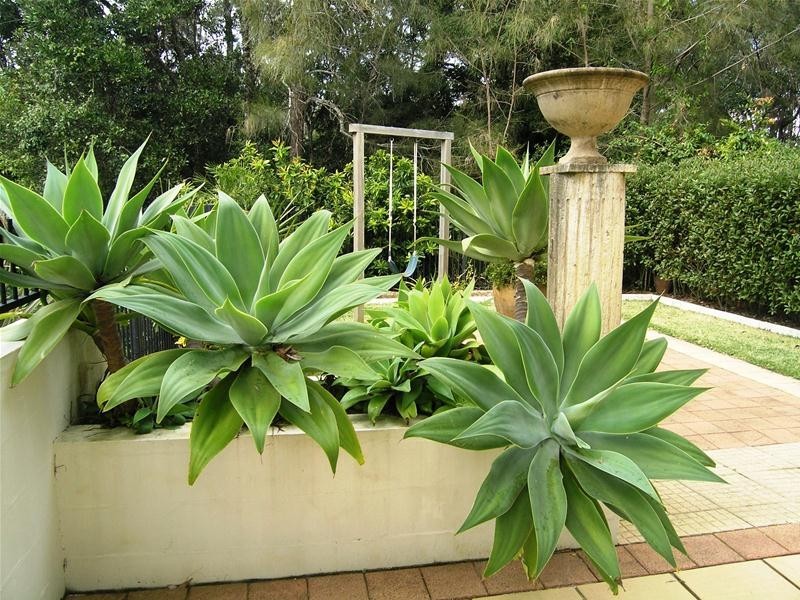 1 Five Islands Drive, Coffs Harbour NSW 2450