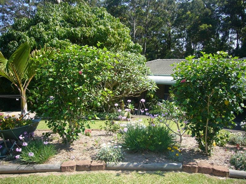 17 Nina Close, Coffs Harbour NSW 2450