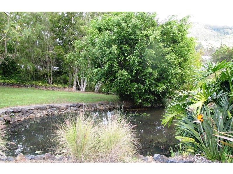 118 Ayrshire Park Drive, Boambee, Coffs Harbour NSW 2450