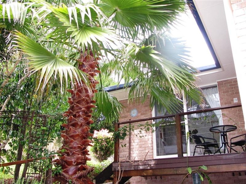 118 Ayrshire Park Drive, Boambee, Coffs Harbour NSW 2450