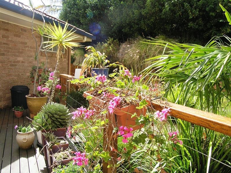 118 Ayrshire Park Drive, Boambee, Coffs Harbour NSW 2450