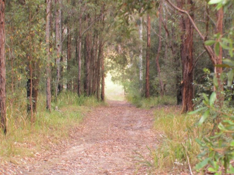 239 Lurcocks Road, Nana Glen NSW 2450