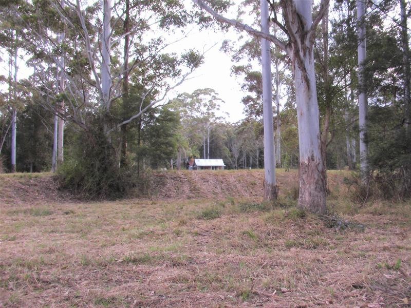 239 Lurcocks Road, Nana Glen NSW 2450