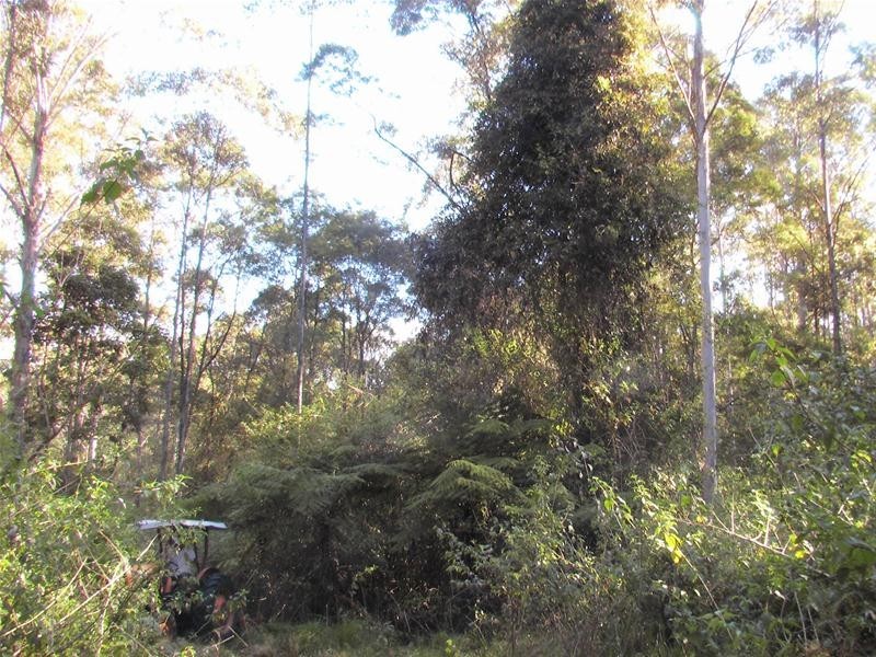 239 Lurcocks Road, Nana Glen NSW 2450