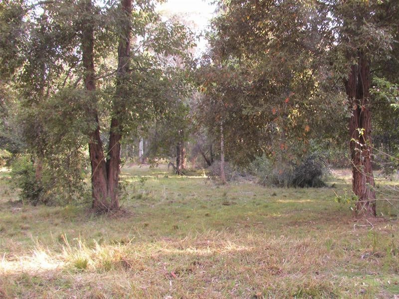 239 Lurcocks Road, Nana Glen NSW 2450