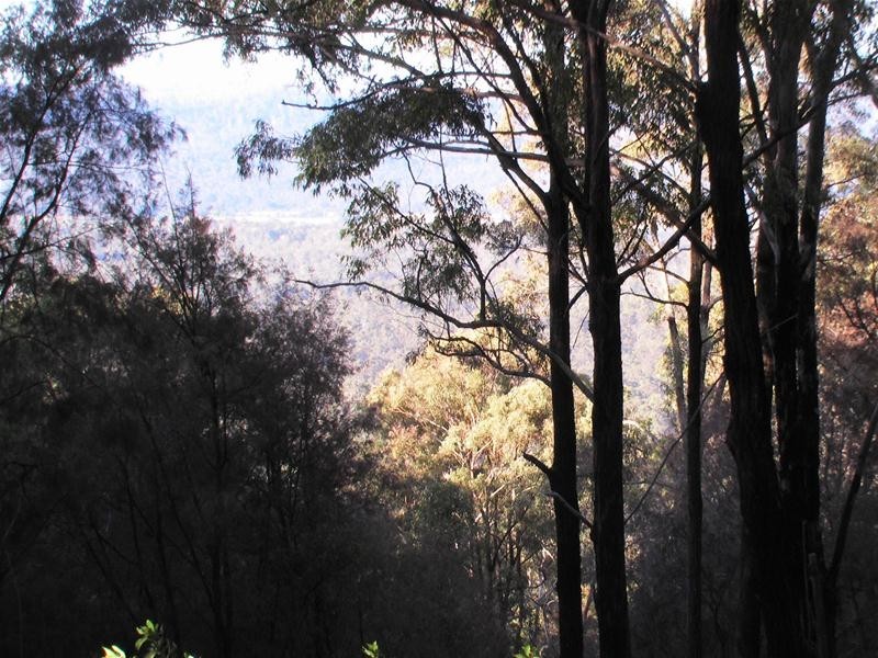 239 Lurcocks Road, Nana Glen NSW 2450