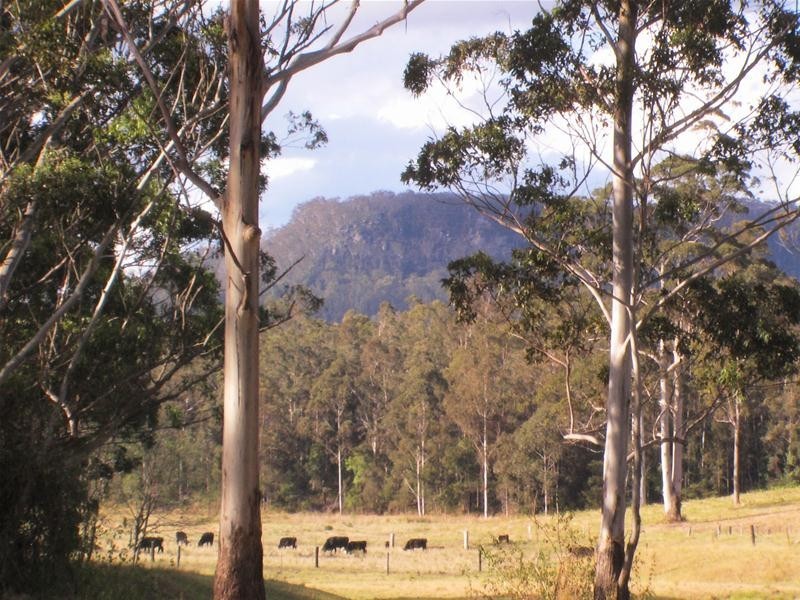 239 Lurcocks Road, Nana Glen NSW 2450