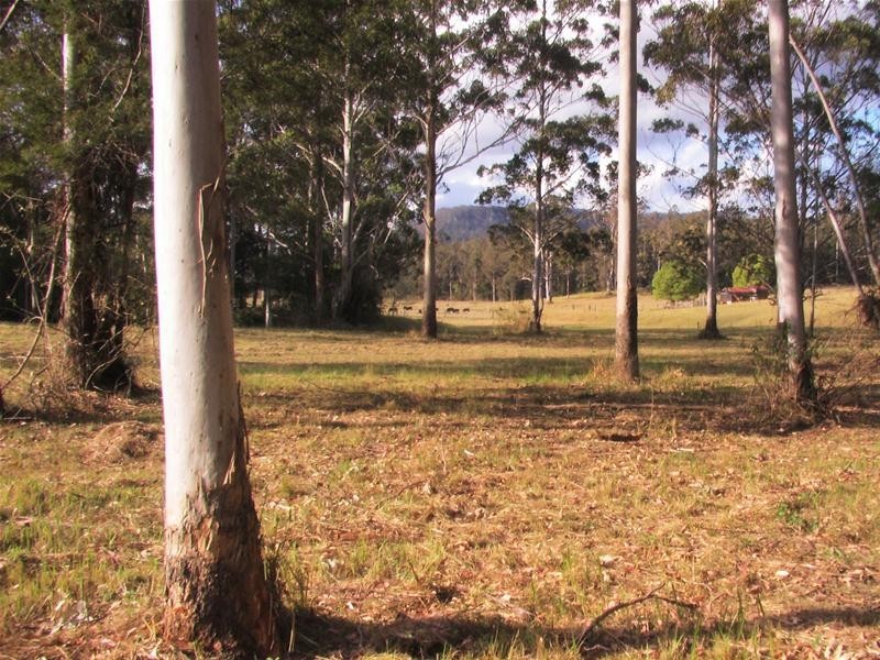 239 Lurcocks Road, Nana Glen NSW 2450