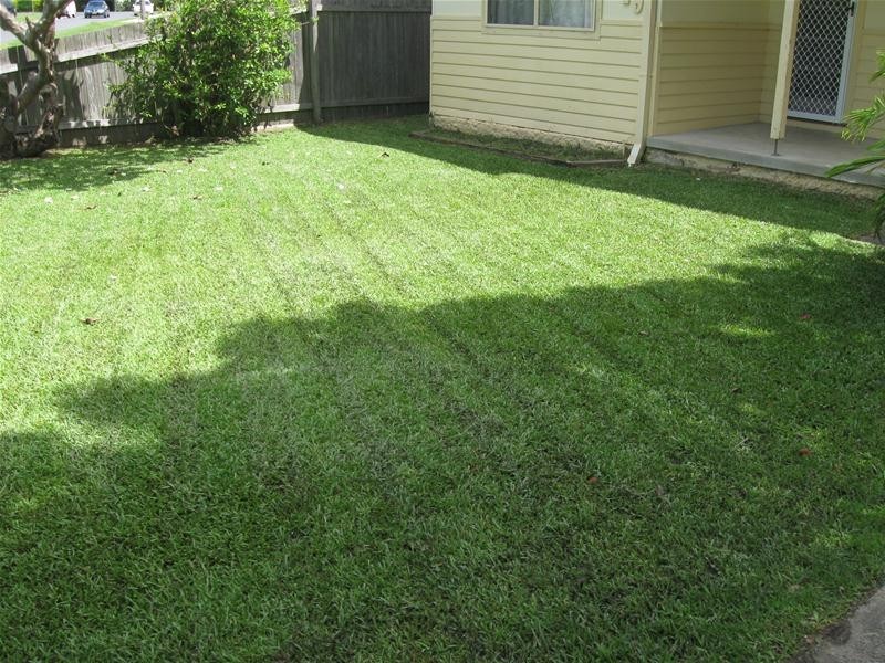 19 Hill Street, Coffs Harbour NSW 2450