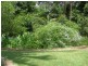 29 Greenlea Crescent, Coffs Harbour NSW 2450